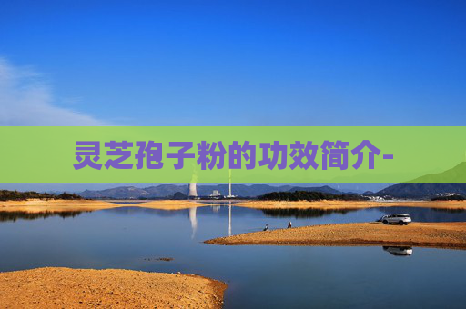 灵芝孢子粉的功效简介-