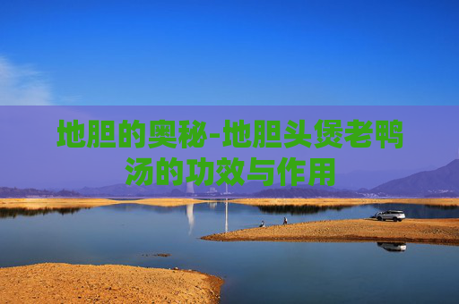 地胆的奥秘-地胆头煲老鸭汤的功效与作用