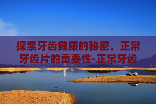 探索牙齿健康的秘密，正常牙齿片的重要性-正常牙齿片子