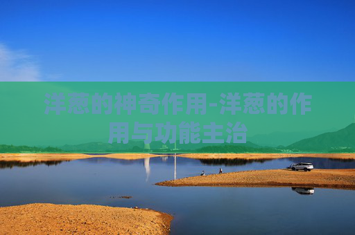 洋葱的神奇作用-洋葱的作用与功能主治