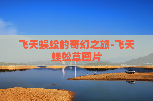飞天蜈蚣的奇幻之旅-飞天蜈蚣草图片