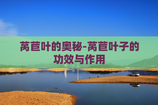 莴苣叶的奥秘-莴苣叶子的功效与作用