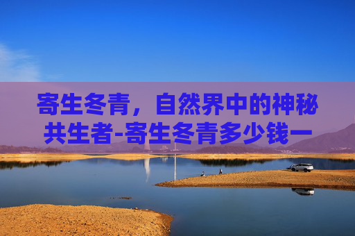 寄生冬青，自然界中的神秘共生者-寄生冬青多少钱一斤