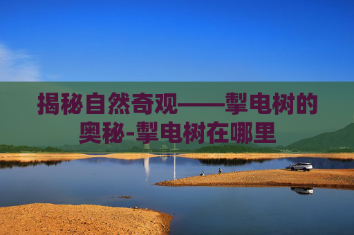 揭秘自然奇观——掣电树的奥秘-掣电树在哪里