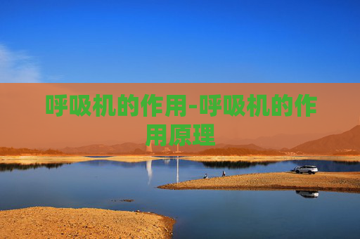 呼吸机的作用-呼吸机的作用原理