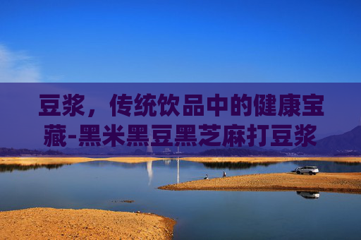 豆浆，传统饮品中的健康宝藏-黑米黑豆黑芝麻打豆浆功效