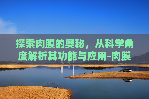 探索肉膜的奥秘，从科学角度解析其功能与应用-肉膜息肉是什么引起的