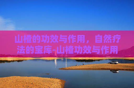山楂的功效与作用，自然疗法的宝库-山楂功效与作用泡水喝的功效