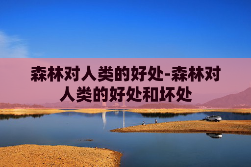 森林对人类的好处-森林对人类的好处和坏处