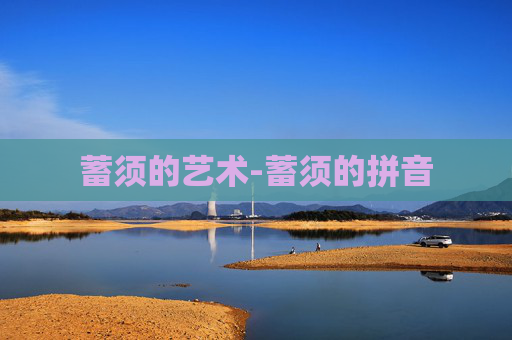 蓄须的艺术-蓄须的拼音