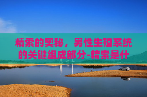 精索的奥秘，男性生殖系统的关键组成部分-精索是什么器官