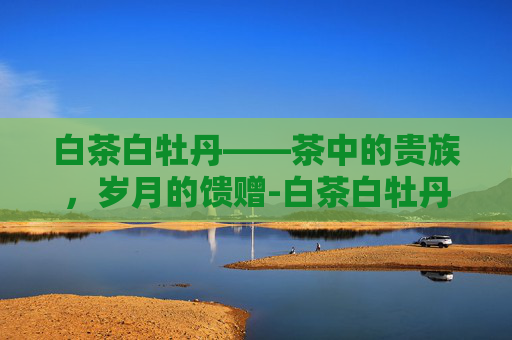 白茶白牡丹——茶中的贵族，岁月的馈赠-白茶白牡丹价格多少钱一斤
