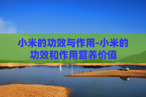 小米的功效与作用-小米的功效和作用营养价值