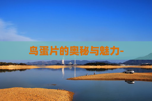 鸟蛋片的奥秘与魅力-