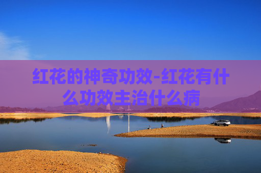 红花的神奇功效-红花有什么功效主治什么病