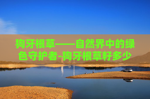 狗牙根草——自然界中的绿色守护者-狗牙根草籽多少钱一斤
