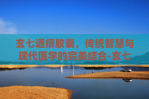 玄七通痹胶囊，传统智慧与现代医学的完美结合-玄七通痹胶囊的成分