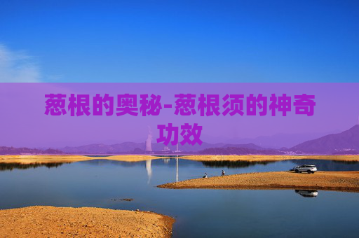 葱根的奥秘-葱根须的神奇功效