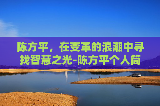 陈方平，在变革的浪潮中寻找智慧之光-陈方平个人简介