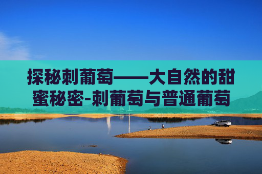 探秘刺葡萄——大自然的甜蜜秘密-刺葡萄与普通葡萄的区别