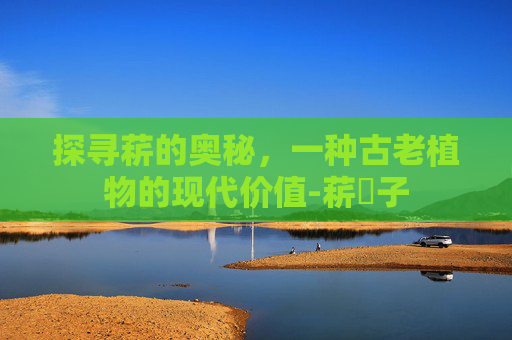 探寻菥的奥秘，一种古老植物的现代价值-菥蓂子