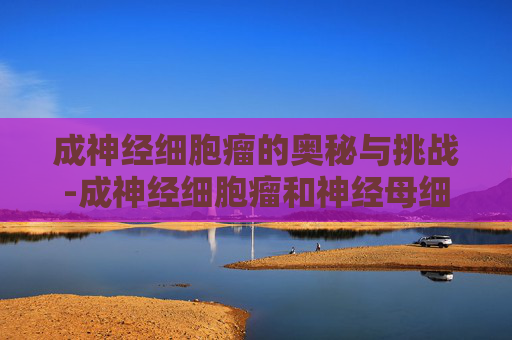 成神经细胞瘤的奥秘与挑战-成神经细胞瘤和神经母细胞瘤