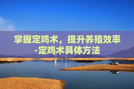 掌握定鸡术，提升养殖效率-定鸡术具体方法