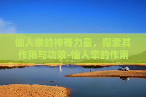 仙人掌的神奇力量，探索其作用与功效-仙人掌的作用与功效吃法大全