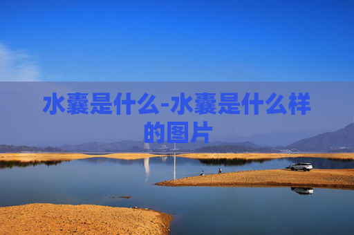 水囊是什么-水囊是什么样的图片