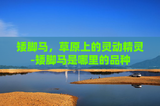 矮脚马，草原上的灵动精灵-矮脚马是哪里的品种