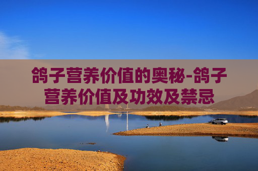鸽子营养价值的奥秘-鸽子营养价值及功效及禁忌