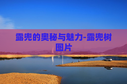 露兜的奥秘与魅力-露兜树图片