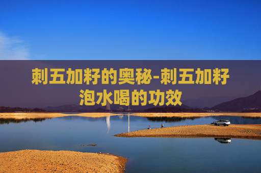 刺五加籽的奥秘-刺五加籽泡水喝的功效