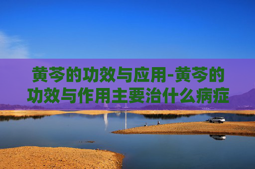 黄芩的功效与应用-黄芩的功效与作用主要治什么病症