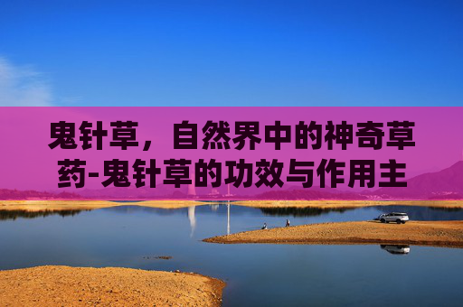 鬼针草，自然界中的神奇草药-鬼针草的功效与作用主要治什么病