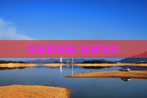 松萝的奥秘-松萝图片