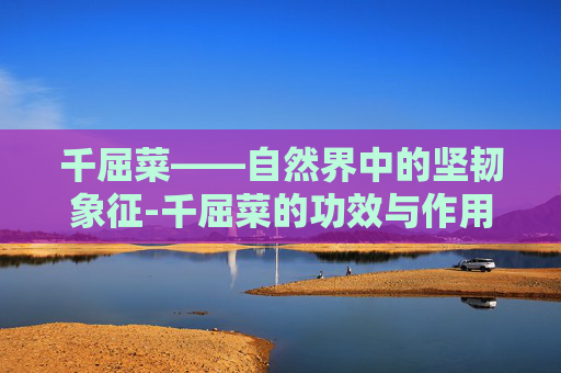 千屈菜——自然界中的坚韧象征-千屈菜的功效与作用