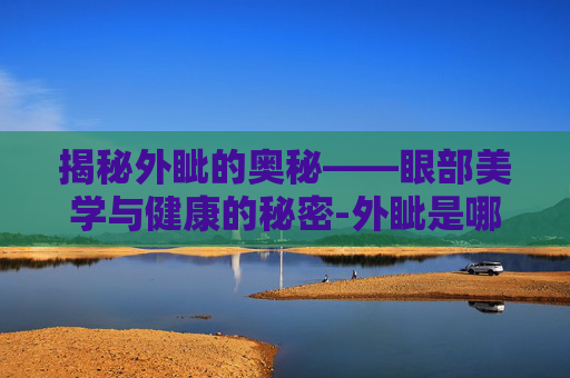 揭秘外眦的奥秘——眼部美学与健康的秘密-外眦是哪个部位图片