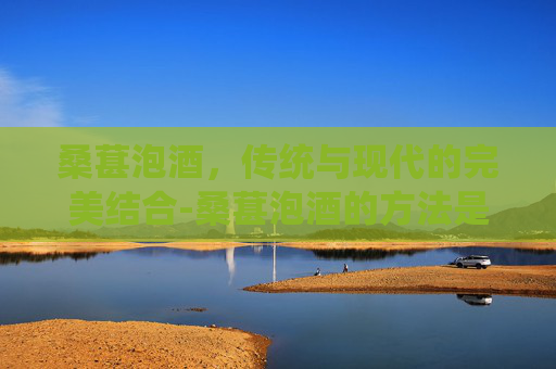 桑葚泡酒，传统与现代的完美结合-桑葚泡酒的方法是怎么泡