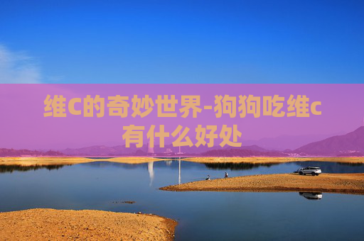 维C的奇妙世界-狗狗吃维c有什么好处