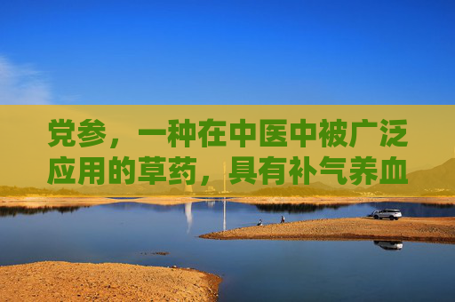 党参，一种在中医中被广泛应用的草药，具有补气养血、益心安神的功效。然而，并非人人适宜食用党参。本文将探讨党参的禁忌，帮助读者更好地了解如何正确使用党参。-党参禁忌食品有哪些呢