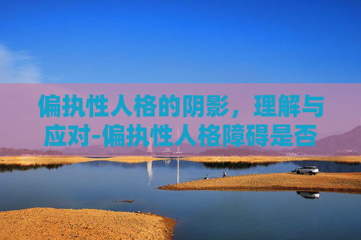 偏执性人格的阴影，理解与应对-偏执性人格障碍是否属于精神病