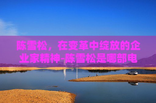 陈雪松，在变革中绽放的企业家精神-陈雪松是哪部电影里的