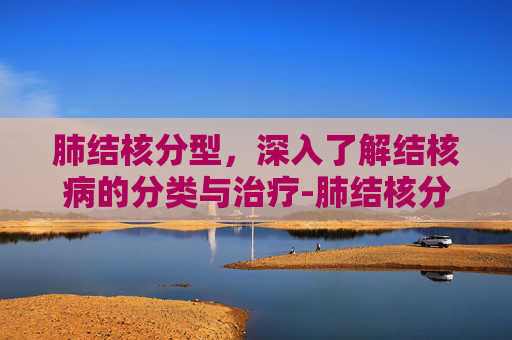 肺结核分型，深入了解结核病的分类与治疗-肺结核分型为哪几型