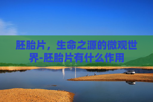 胚胎片，生命之源的微观世界-胚胎片有什么作用