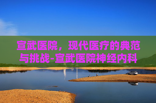 宣武医院，现代医疗的典范与挑战-宣武医院神经内科哪个专家看的好