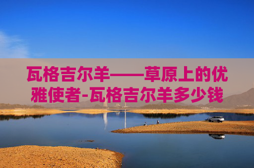 瓦格吉尔羊——草原上的优雅使者-瓦格吉尔羊多少钱一只