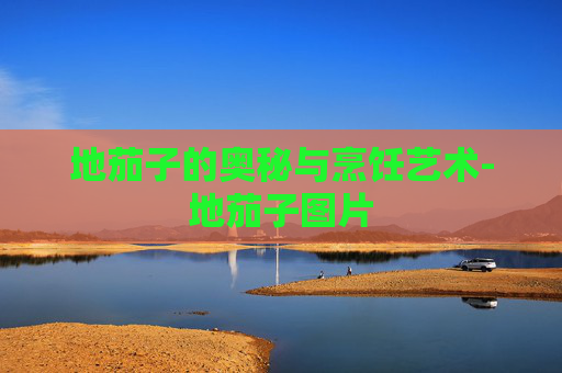 地茄子的奥秘与烹饪艺术-地茄子图片
