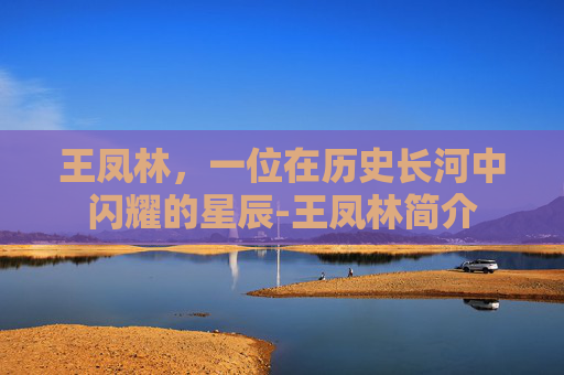 王凤林，一位在历史长河中闪耀的星辰-王凤林简介