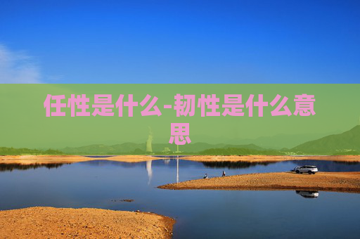 任性是什么-韧性是什么意思